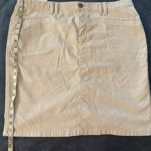 Old Navy Skirt
